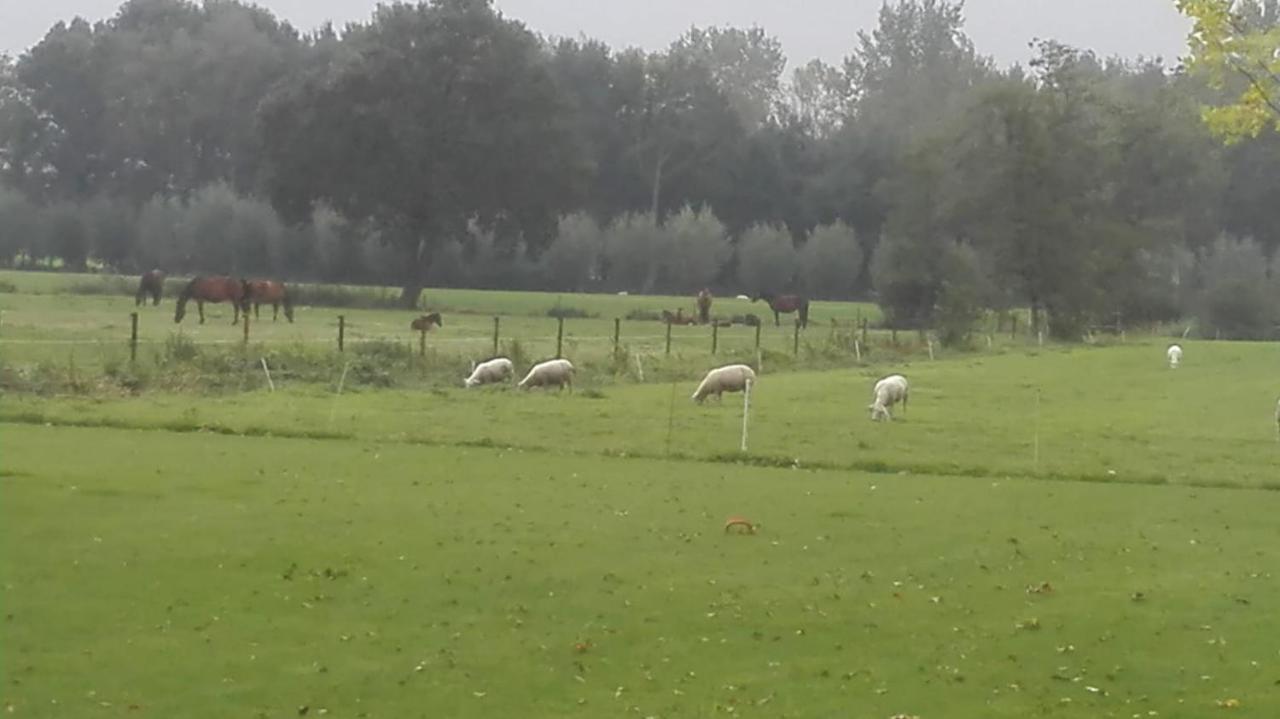 לינה וארוחת בוקר Sint-Oedenrode De Weije Wereld מראה חיצוני תמונה